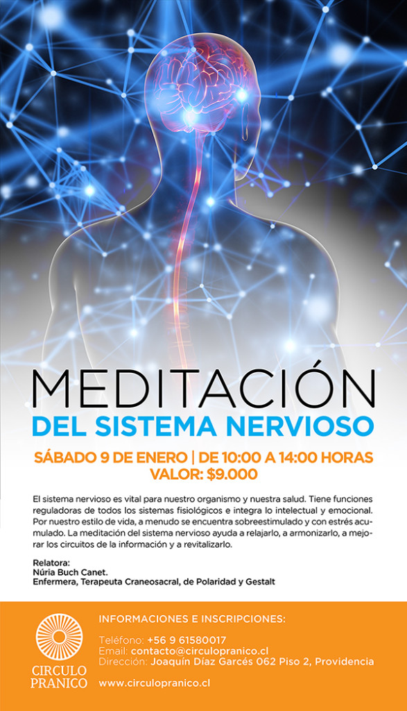 Taller de meditacion del sistema nervioso